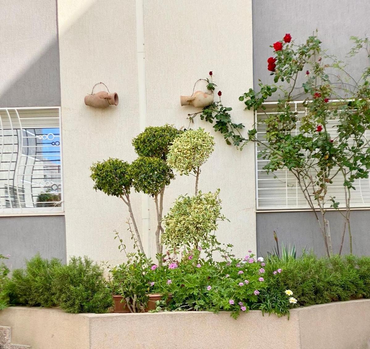 Casa Charm Falaise โมนาสตีร์ ภายนอก รูปภาพ